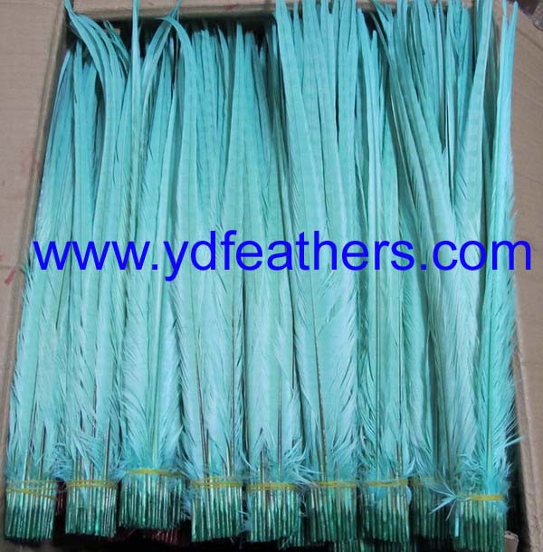 Bleached And Dyed Light Blue Ringneck Pheasant Tail Feathers