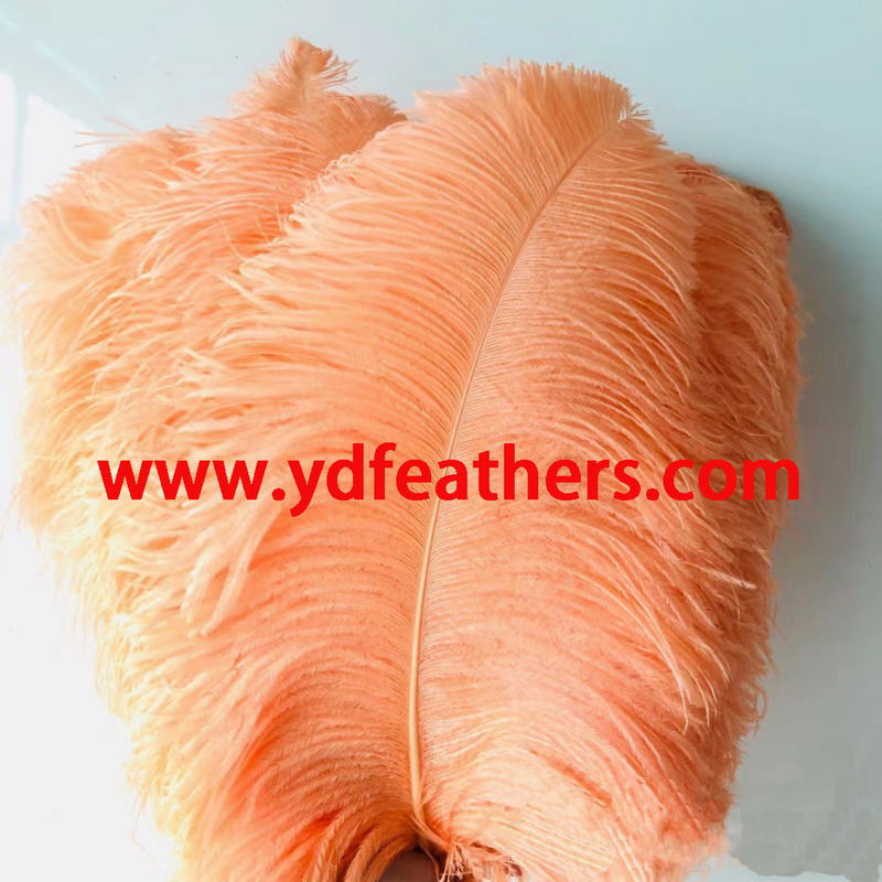 Dyed Orange Ostrich Feather/Plume From China