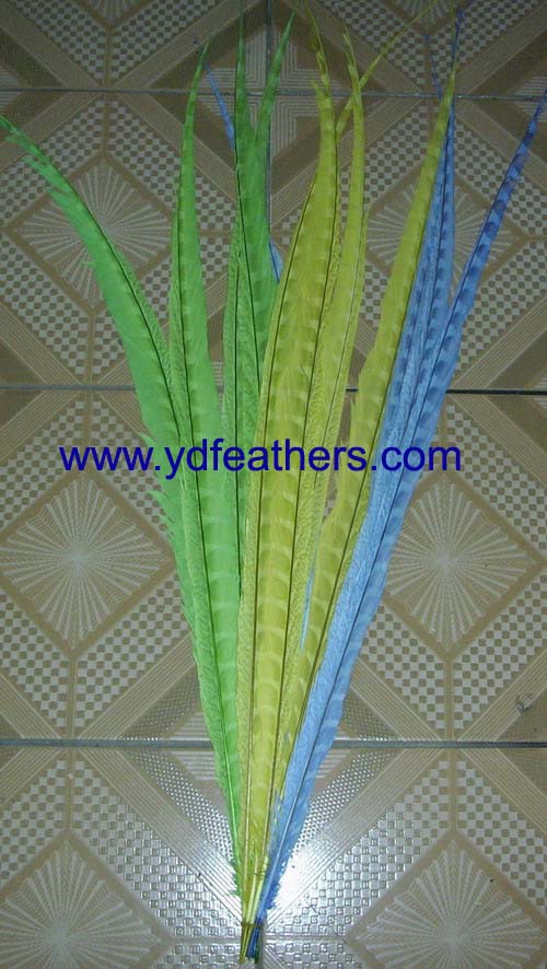 Dyed bleached lady amherst side tail feather