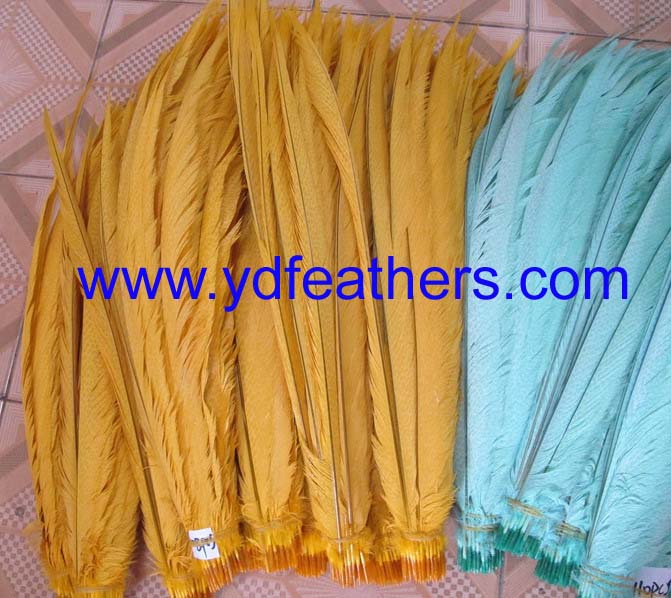 Bleached And Dyed Colored Golden Center Tail Feathers