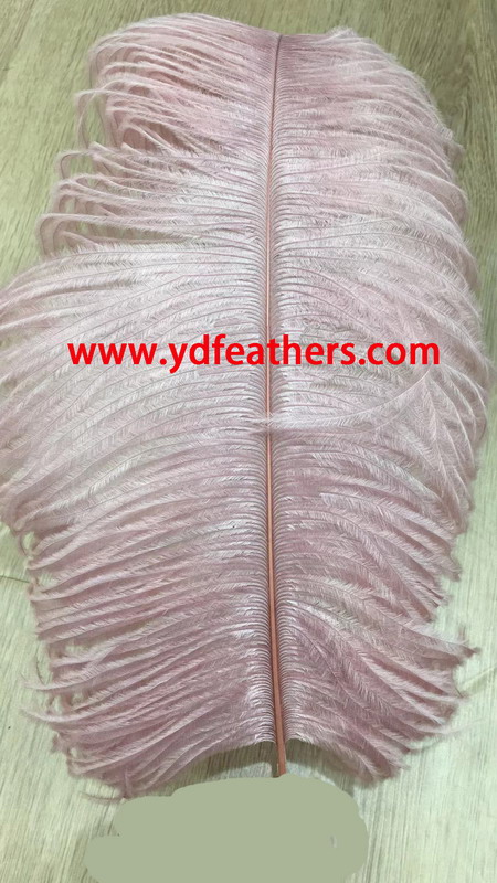 Dyed Little Pink Ostrich Feather/Plume