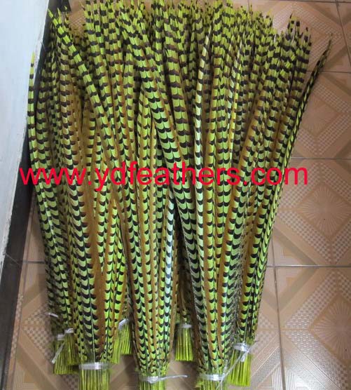 Dyed Green Reeves Pheasant Tail Feathers