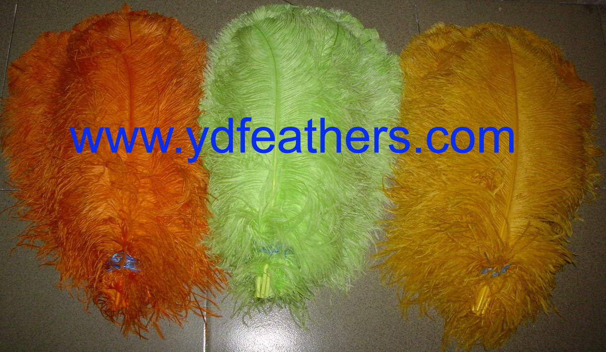 Dyed Ostrich Feather(best quality)