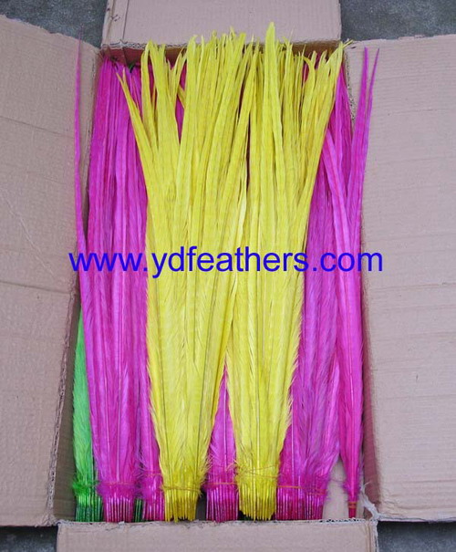 Dyed Bleached Ringneck Pheasant Tail Feathers