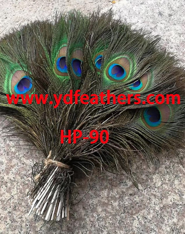 HP-90(25-30cm Peacock tail feather)