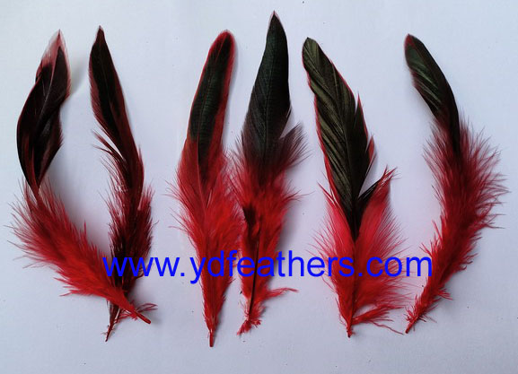 Dyed Red Half-Bronze Rooster/Coque/Cock Schlappens Feather