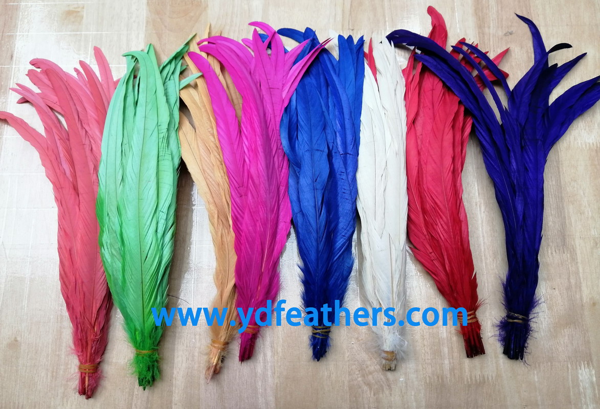 Rooster/Coque/Cock Tail Feather Mix Colour 12-14