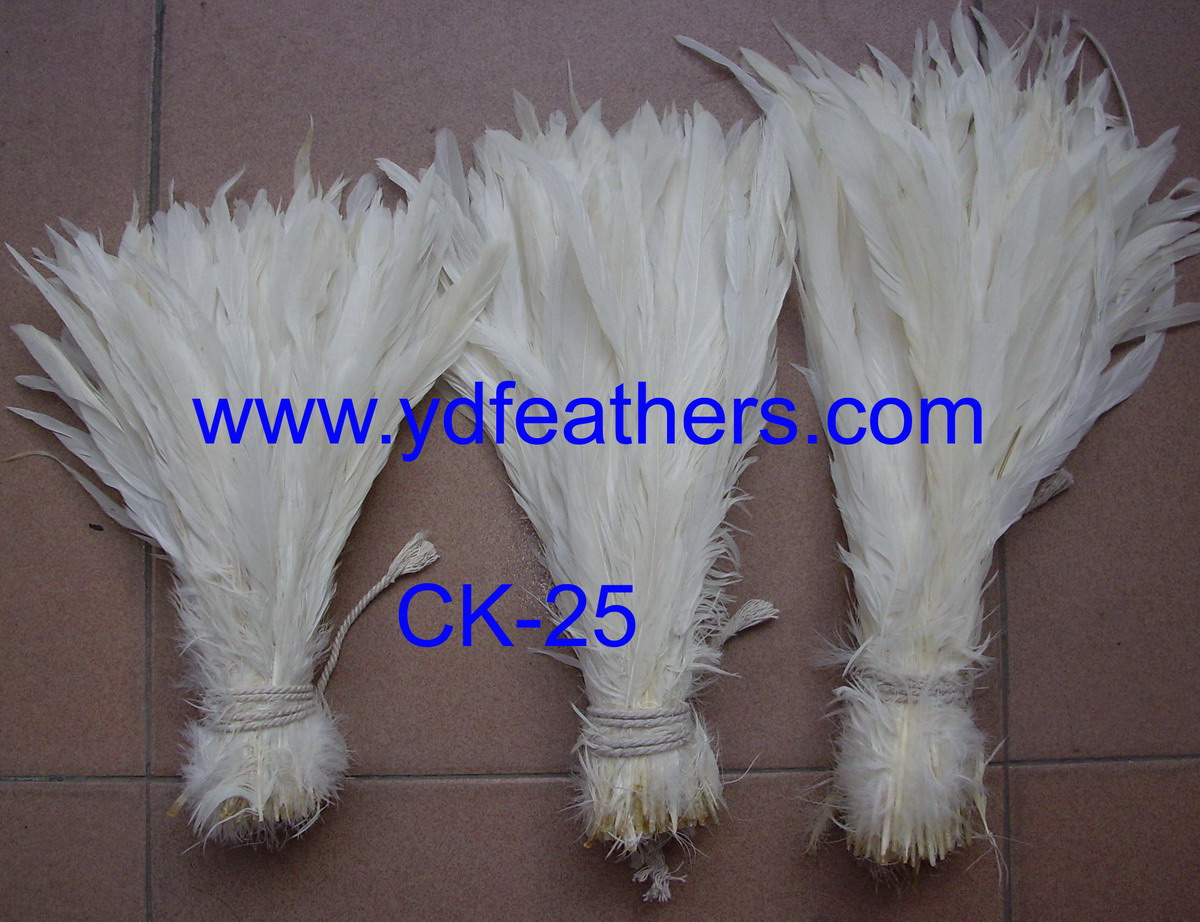 CK-25(Natural White Rooster/Coque/Cock Tail)