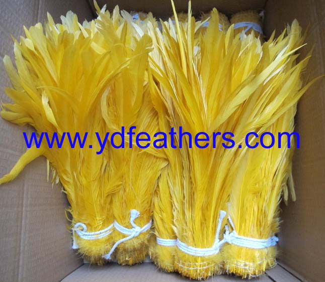 CK-31(Dyed Yellow Rooster/Coque/Cock Tail)