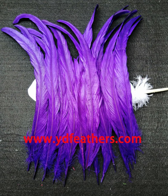 Rooster Coque Tails White-Dyed - Purple