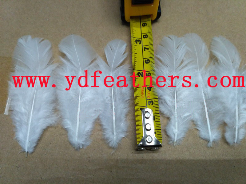 6-8cm Hen Feather