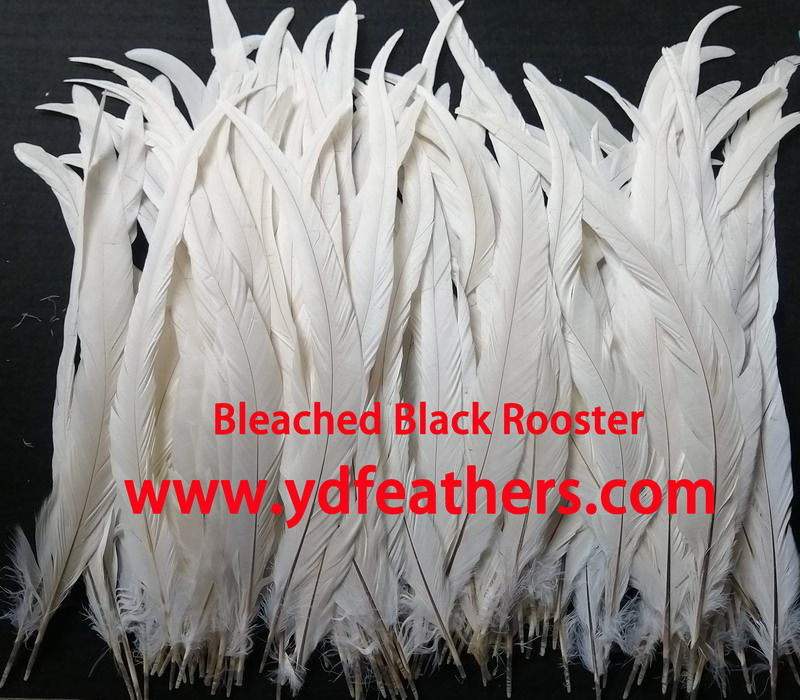 Repaired Bleached Black Rooster/Coque/Cock Tail 