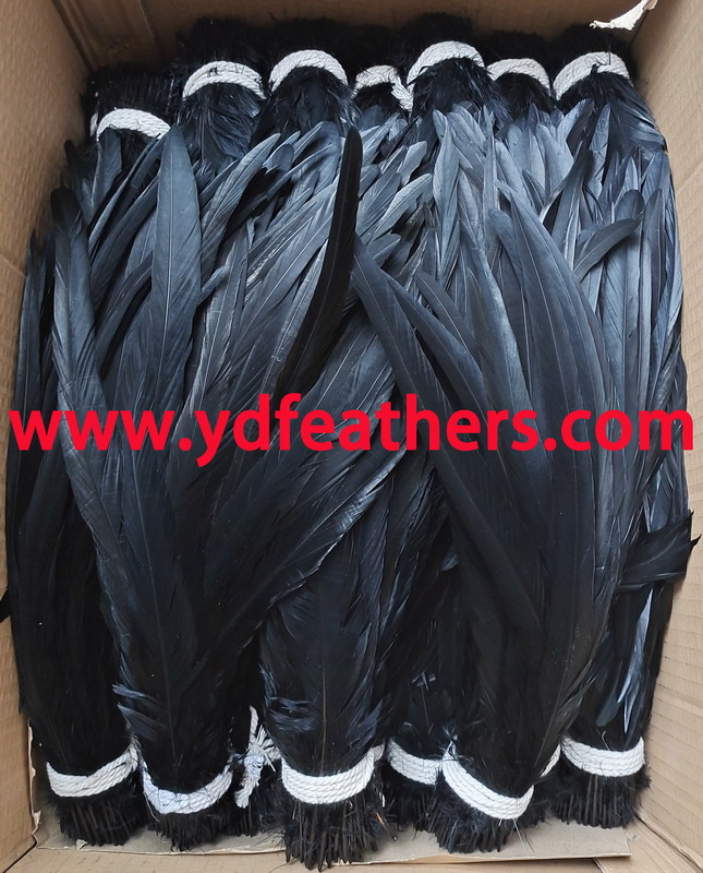 Dyed Black Rooster/Coque/Cock Tail Feather