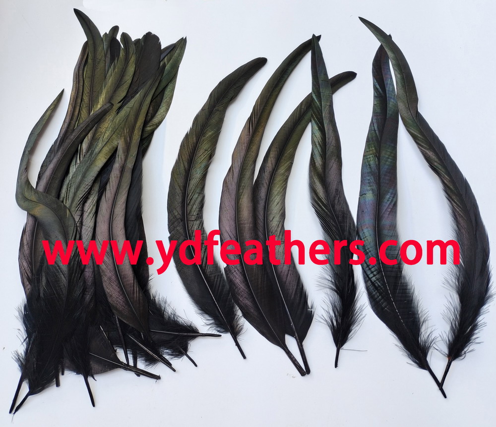 Dyed Black Rooster/Coque/Cock Tail Feather