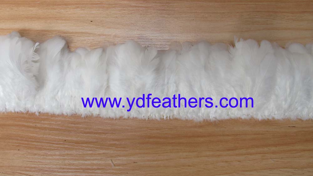 Hen feather 3-4