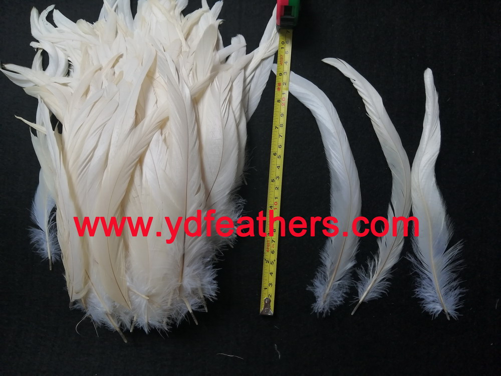 Good Quality Bleached Black Rooster/Coque/Cock Tail 8-10