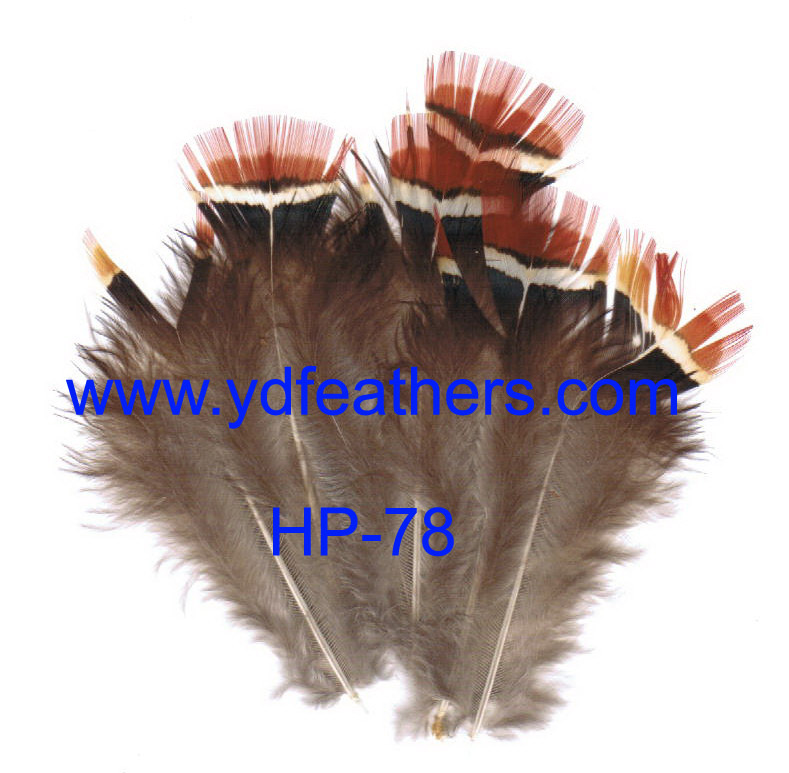 HP-78(Lady Amhurst Pheasant Red Body Feather)