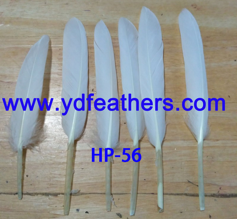 HP-56(Natural White Goose Wings Feather)