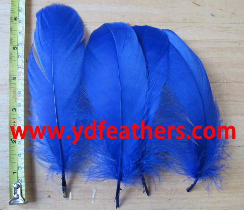 Goose Nagoires Feather Dyed Blue