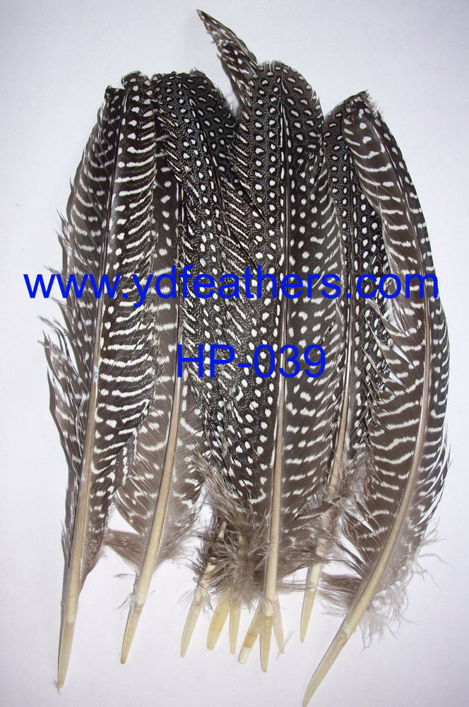 Guinea Fowl Wings Feather