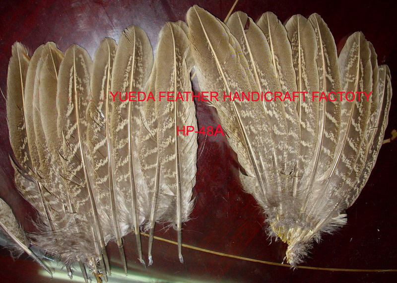 HP-48A(Ringneck Pheasant Wings Feather)