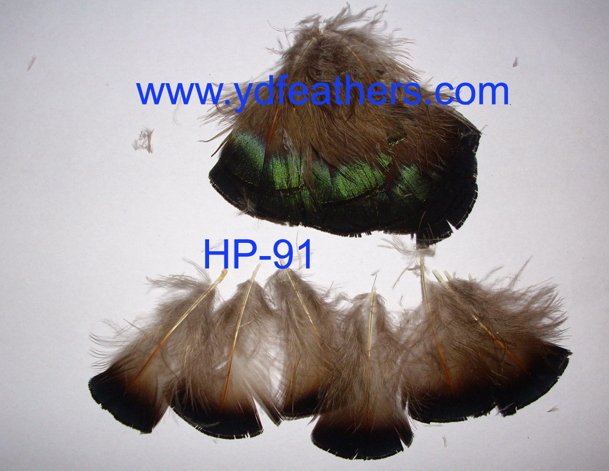 Golden Pheasant Green Body Feather