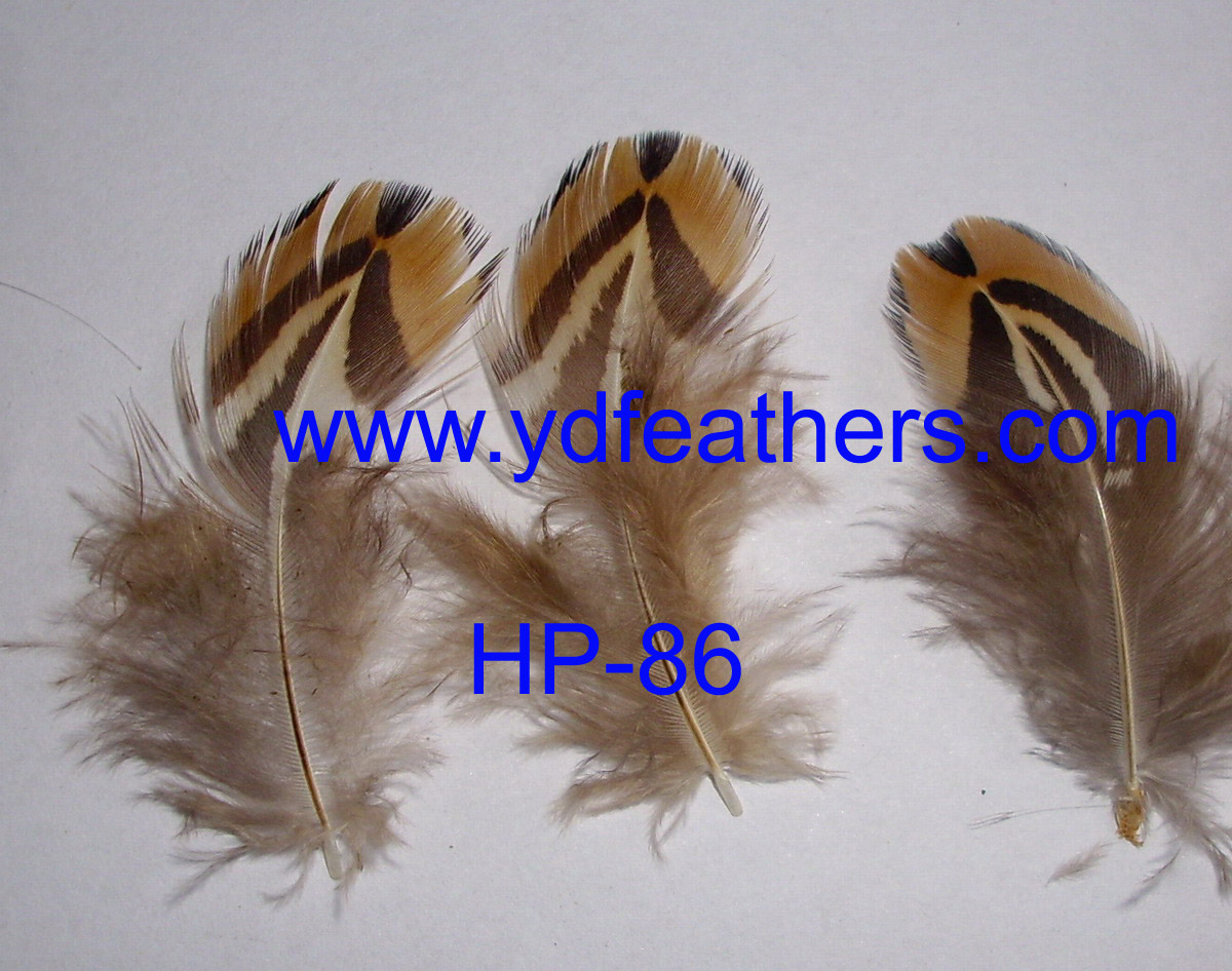 HP-86(Ringneck Pheasant Neck Feather)
