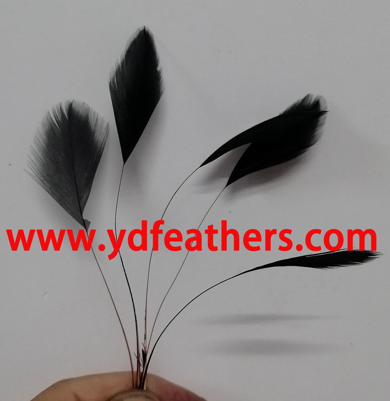 HP-73D(10-15cm Stripped Dyed Black Rooster/Coque/Cock Tail Feather