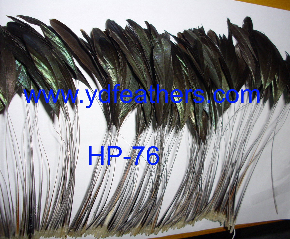 HP-76(Stripped Black Rooster/Coque/Cock Tail Feather Strung)