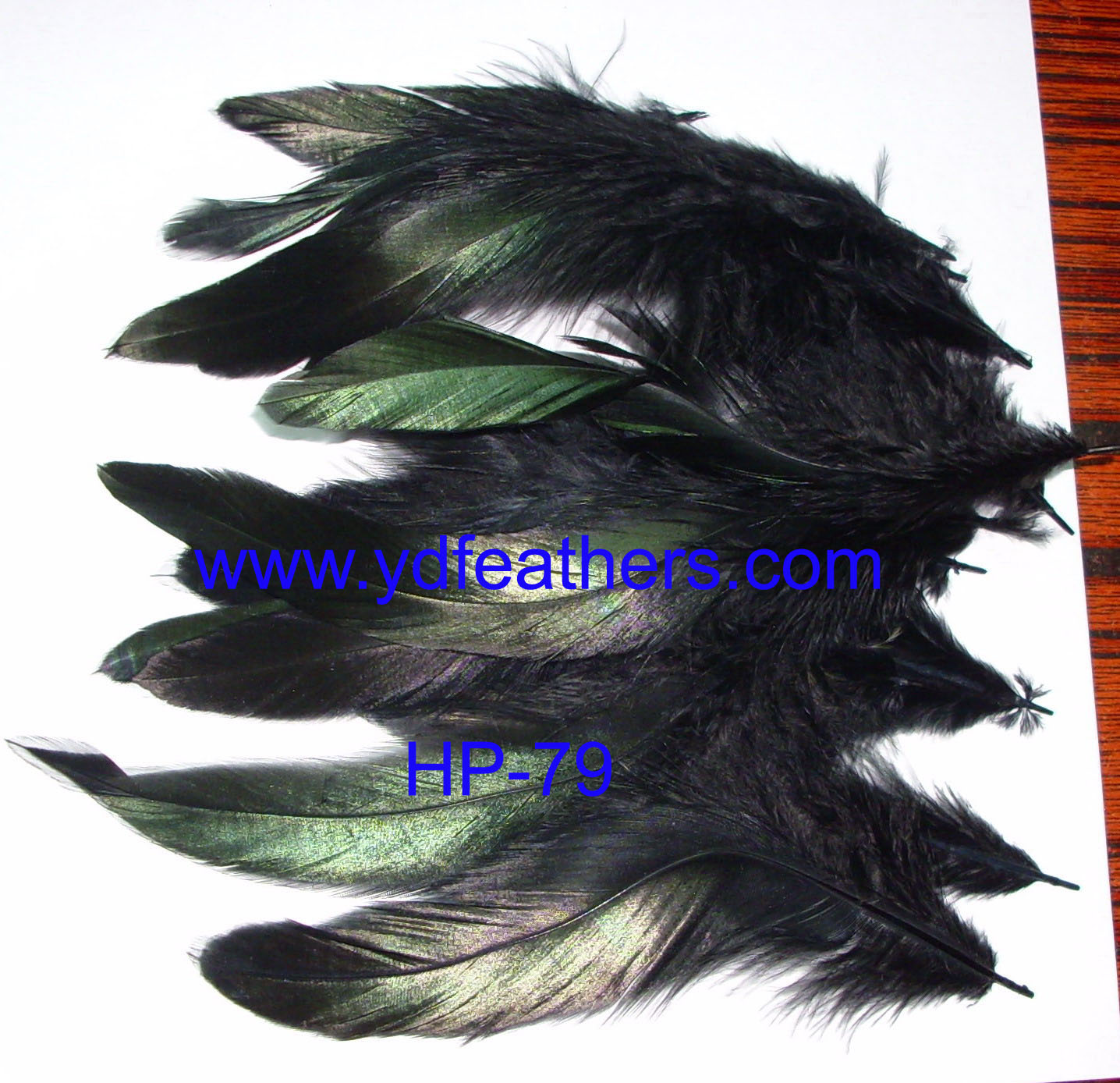 HP-79(Dyed Black Rooster/Coque/Cock Schlappens Feather)