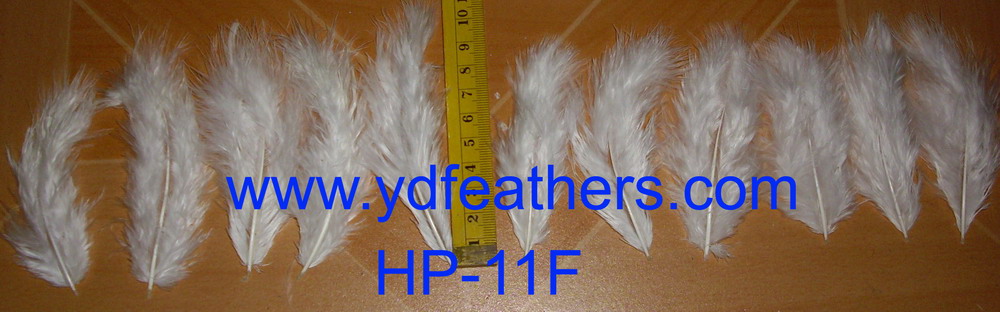 HP-11F(Turkey Body Feather)