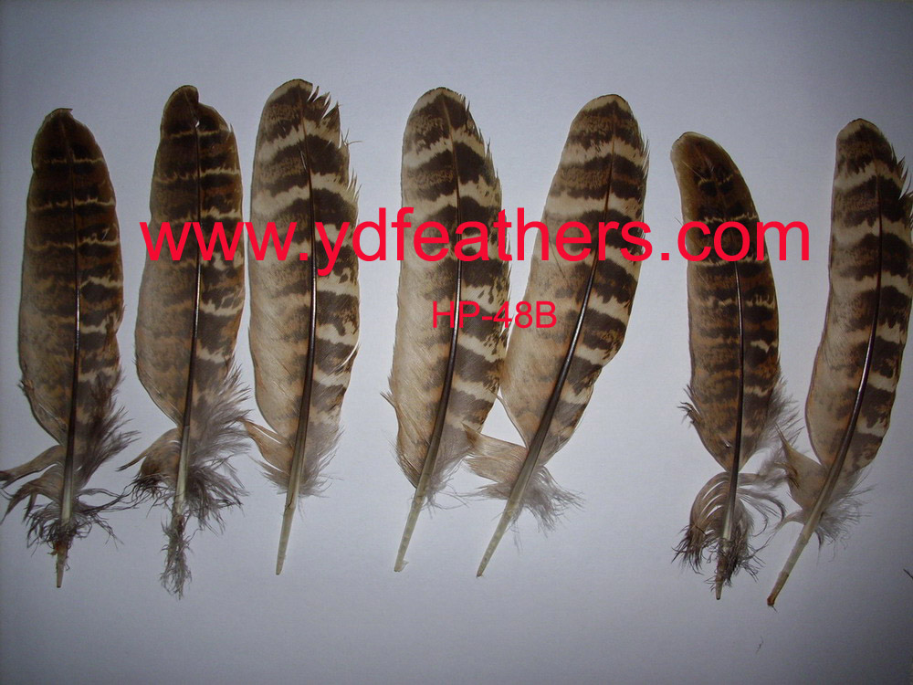 HP-48B(Reeves Pheasant Wings Feather)