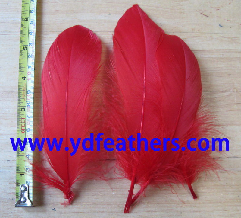 HP-113A(Dyed Red Goose Nagoires Feather)
