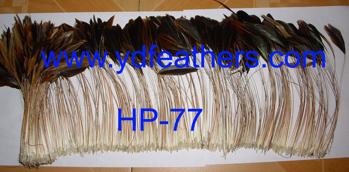 HP-77(Stripped Half-Bronze Rooster/Coque/Cock Tail Strung)