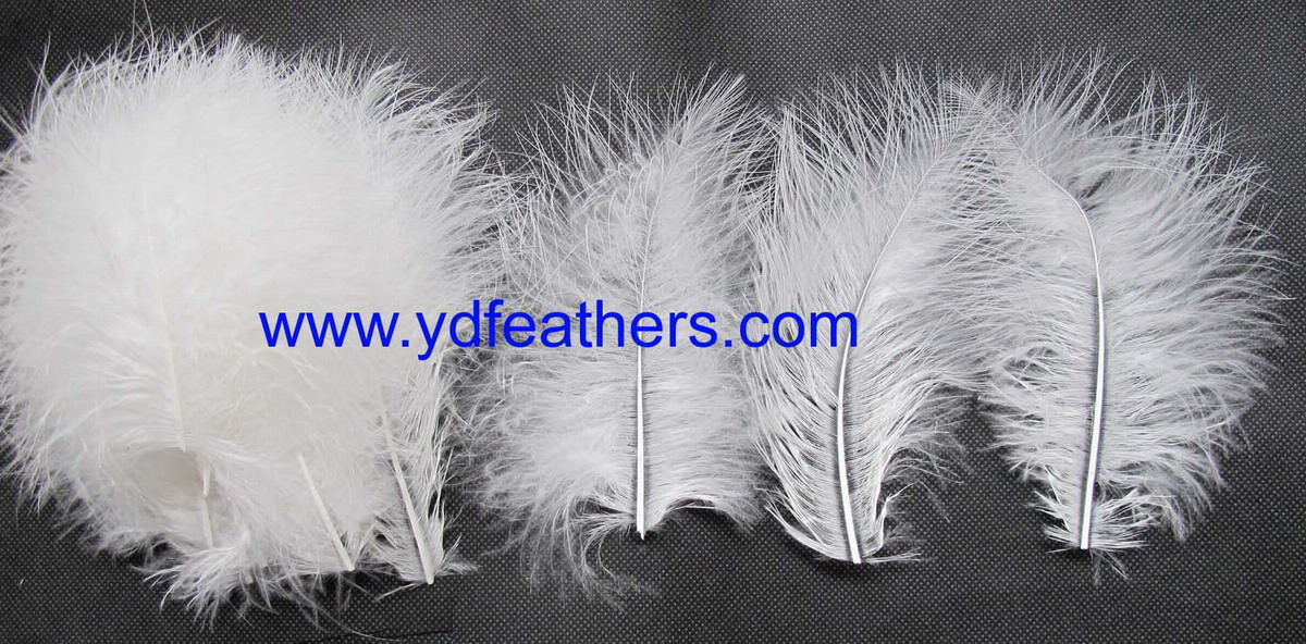 HP-138(Parried Marabou Turkey Feather)