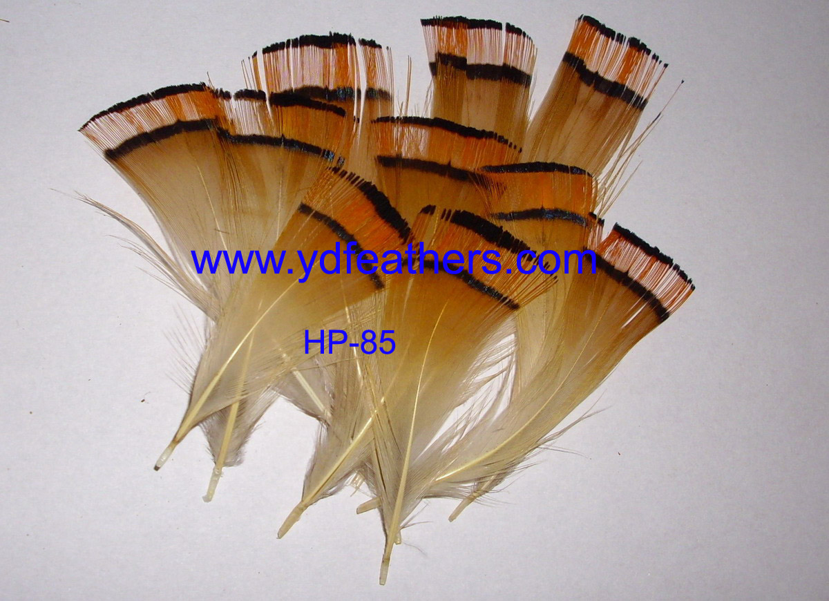 HP-85(Golden Pheasant Head Feather)