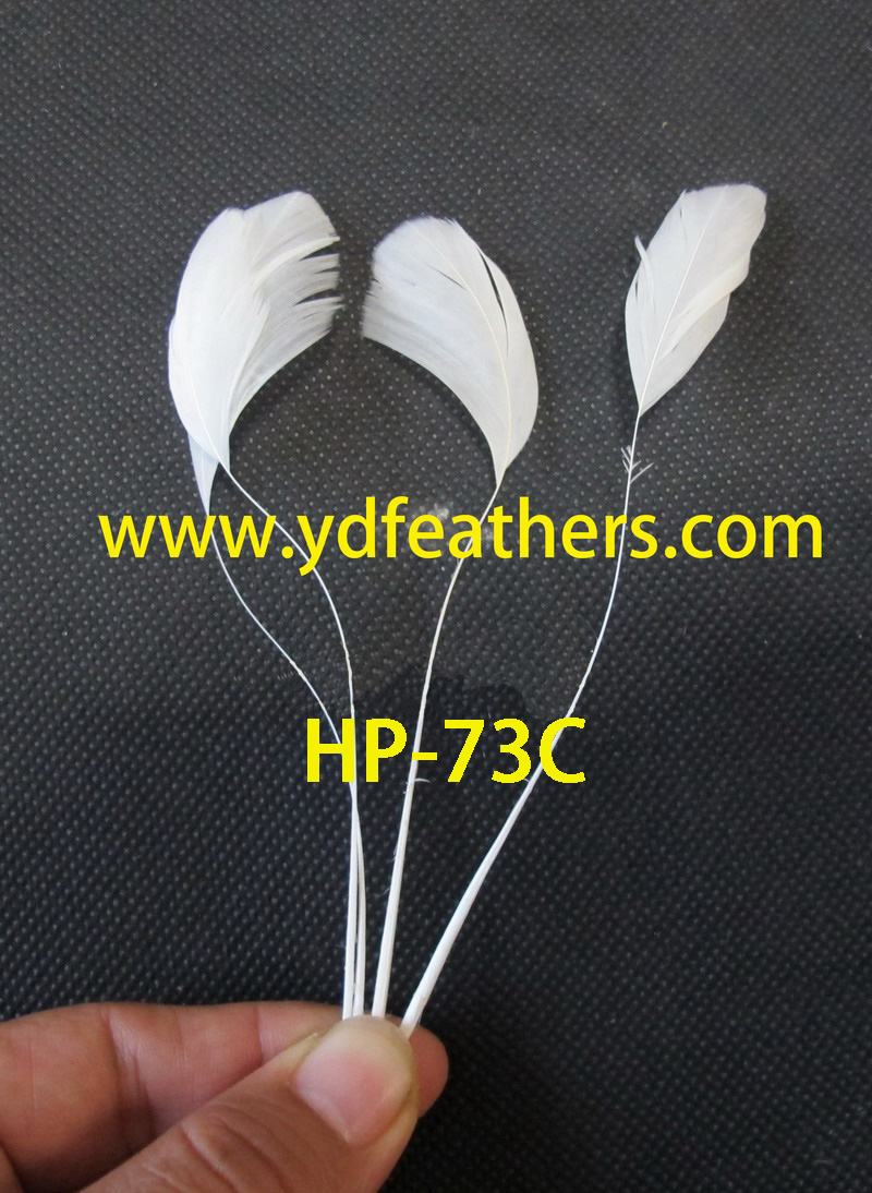 Stripped Natural White Rooster/Coque/Cock Tail Feather 10-15cm