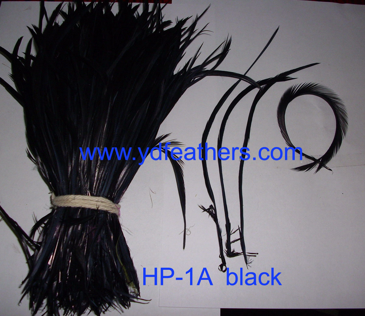Stripped Goose Biots Feather Bundled,Dyed Black