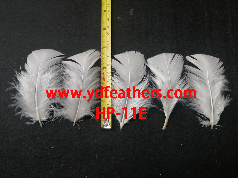 HP-11E(Turkey Body Feather)