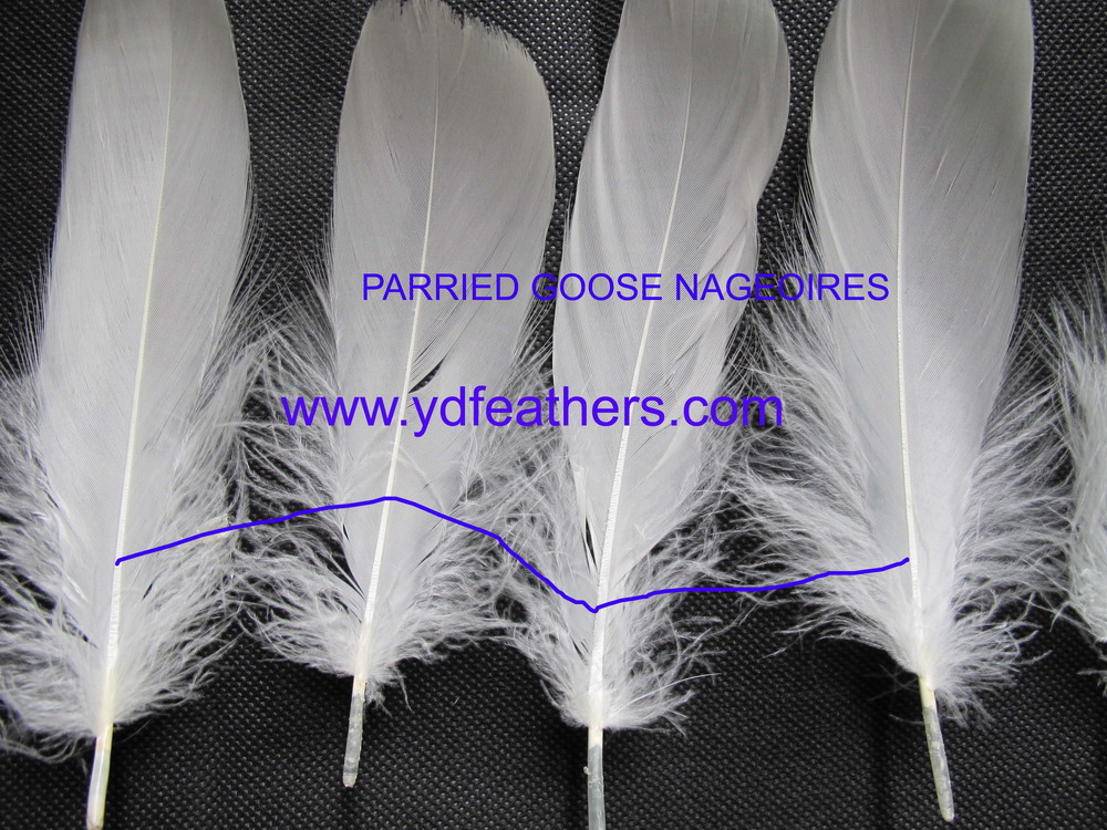 Parried Goose Nagoires Feather 5