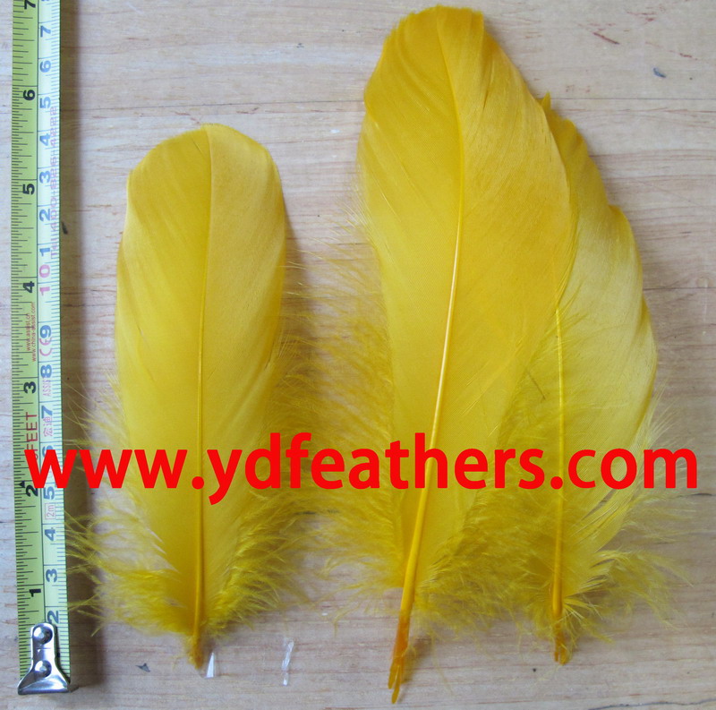 Dyed Yellow Goose Nagoires Feather 5