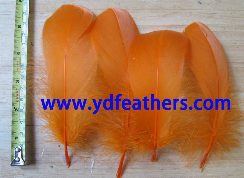 Dyed Orange Goose Nagoires Feather 5