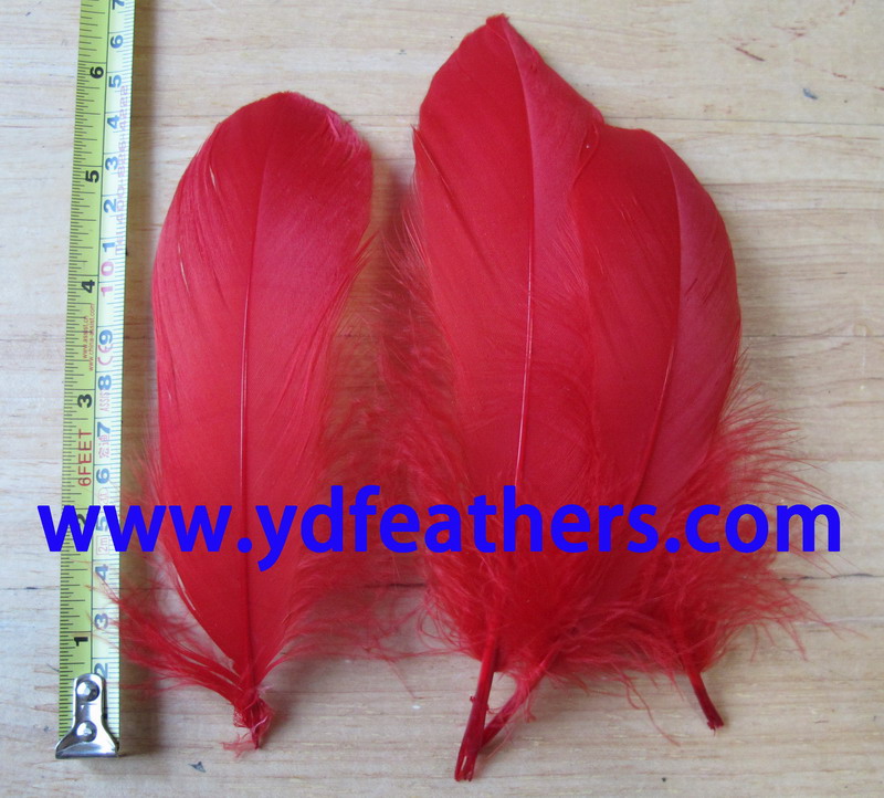 Dyed Red Goose Nagoires Feather 5