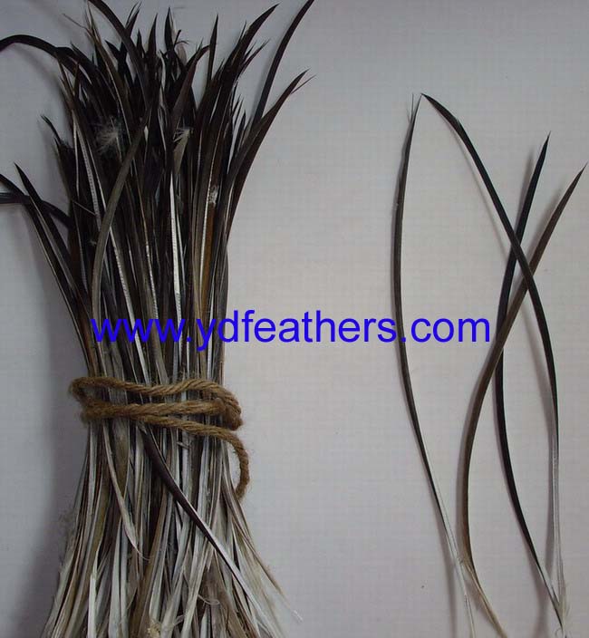 Grey Stripped Goose Biots Feather 6