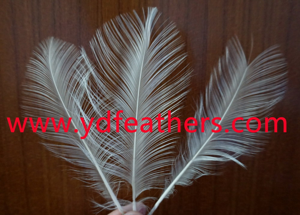 Parried And Burnt Goose Nageoires Feather 6