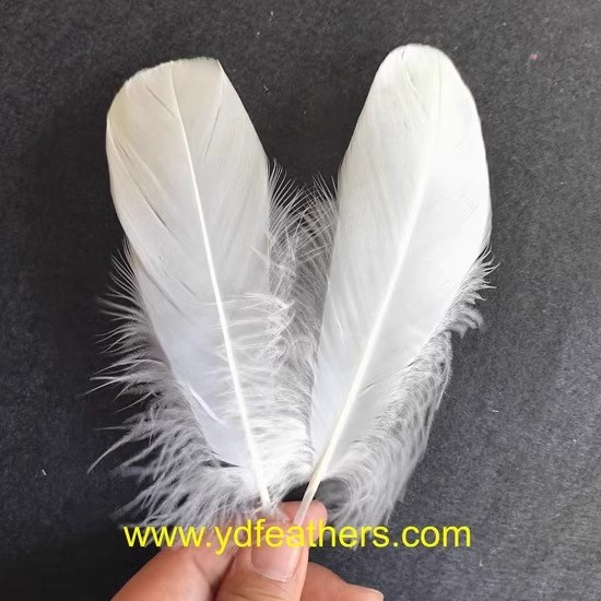 Goose Nagoires Feather 5