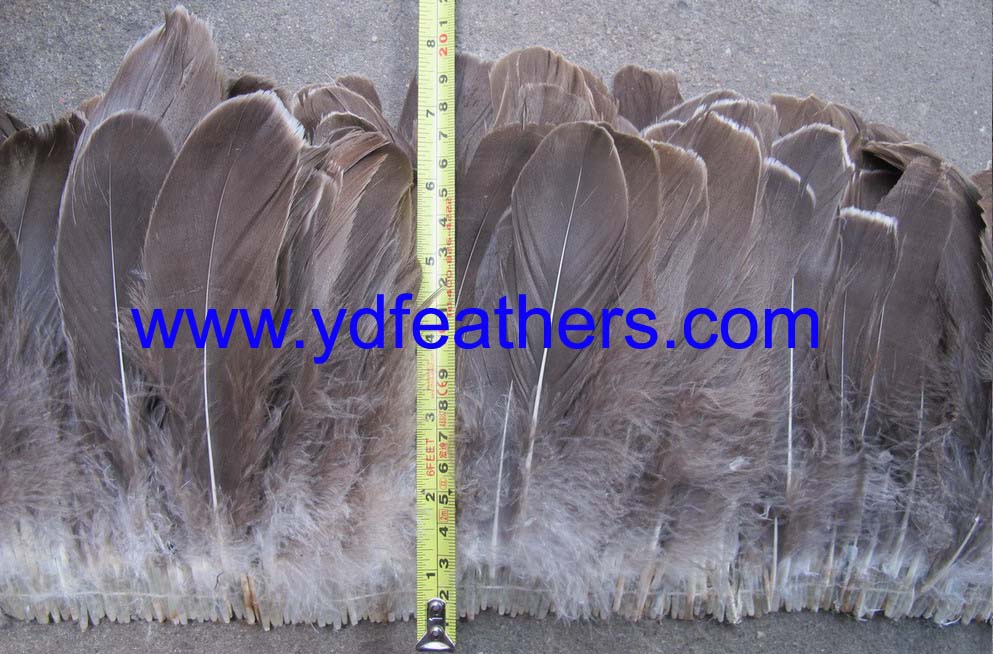 Grey Goose Nagoires Feather 6
