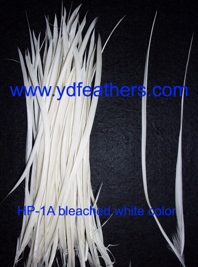 White Stripped  Goose Biots Feather 6