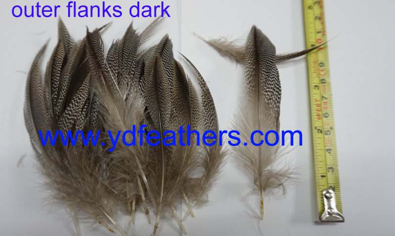 Mallard Outer Flanks Dark Bundled