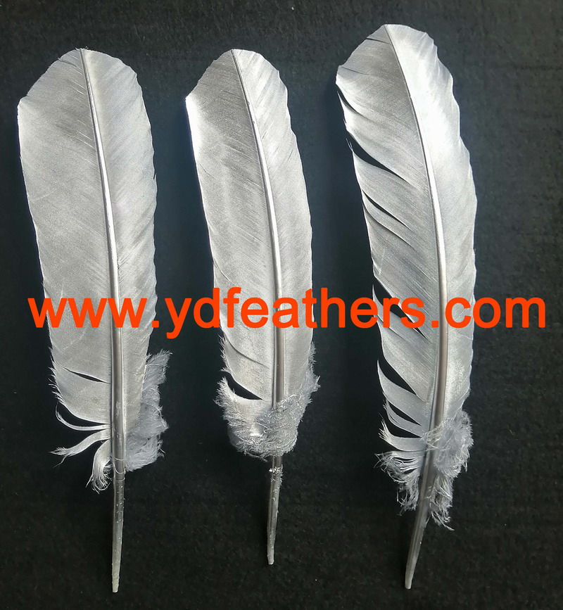 Silver Paint For Turkey Quill Feather